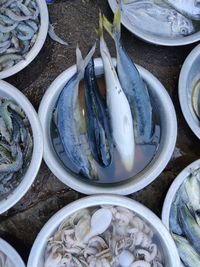 High angle view of fish for sale in market
