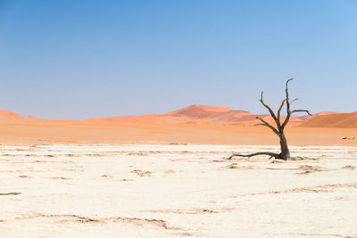 View of a desert against blue sky