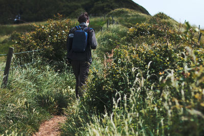 Rear view of man walking amidst plants at field