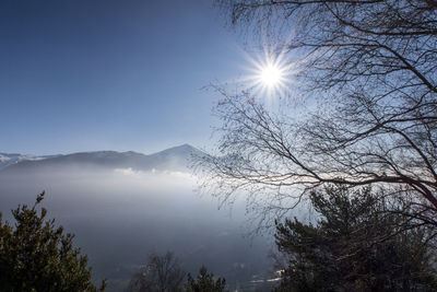 Scenic view of tree and mountains against bright sun