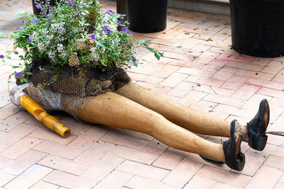 High angle view of potted plant on floor