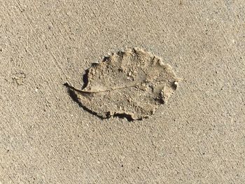 Close-up of sand