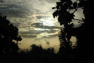 Low angle view of silhouette trees against sky at sunset