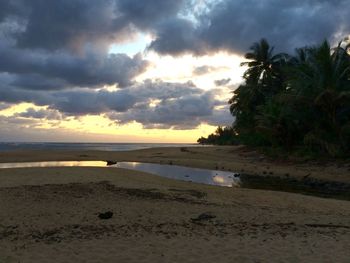 Scenic view of beach against sky during sunset