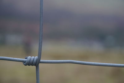Close-up of barbed wire