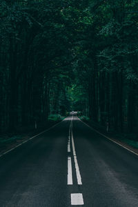 Empty road amidst trees in forest