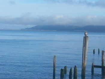 Wooden posts in sea against sky