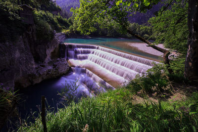 Scenic view of waterfall in forest