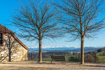 Bare trees on landscape against blue sky