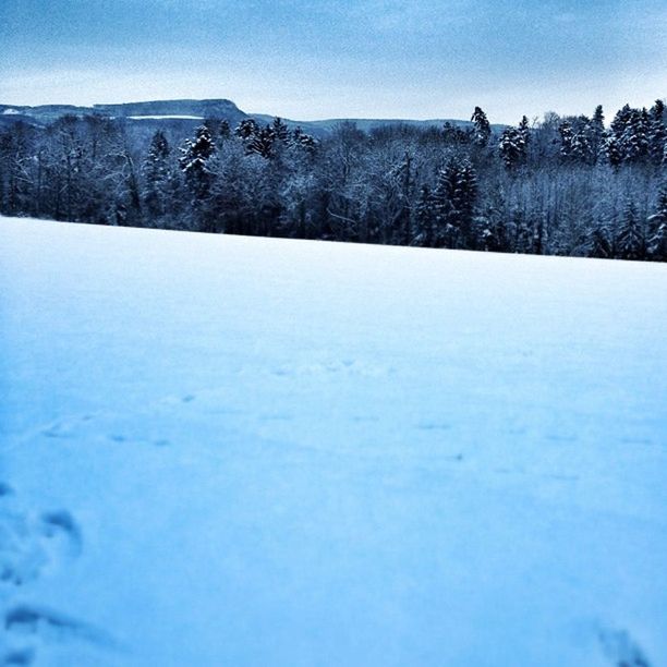 snow, cold temperature, winter, tranquil scene, tranquility, scenics, beauty in nature, clear sky, nature, season, landscape, blue, covering, frozen, weather, non-urban scene, sky, idyllic, copy space, white color