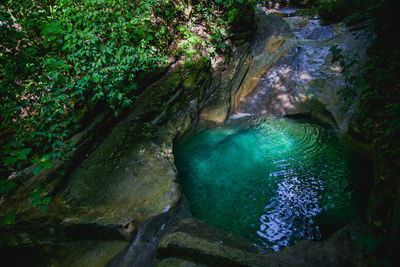 High angle view of rocks amidst trees in forest