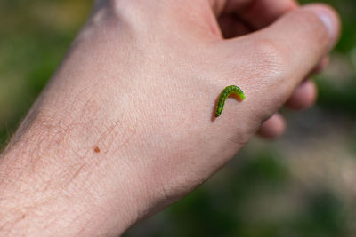 Close-up of human hand