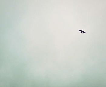 Low angle view of airplane flying against sky