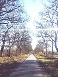 Empty road along trees