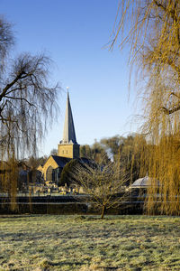 Bare trees against built structure