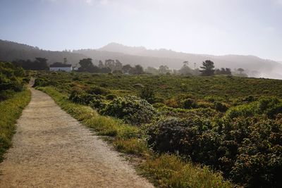 Dirt road in rural landscape