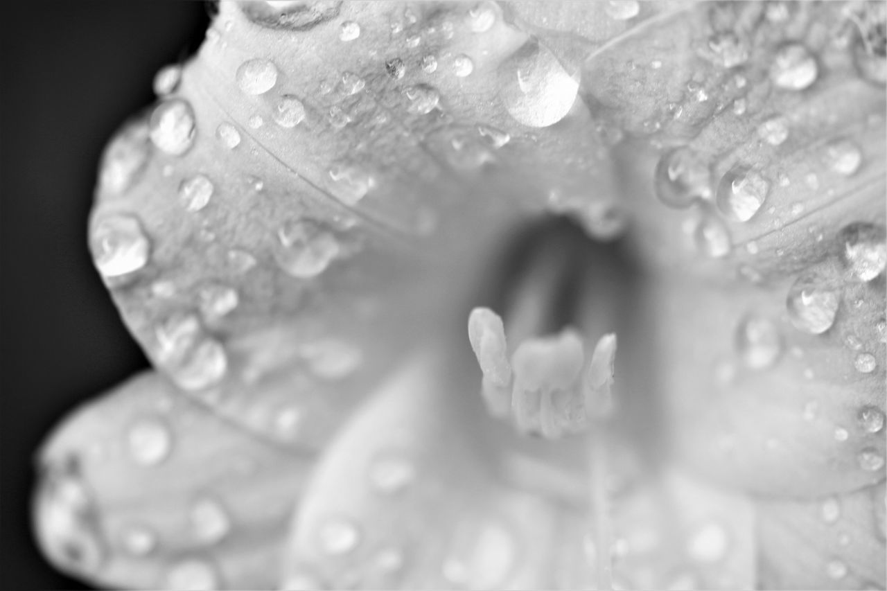 FULL FRAME SHOT OF WATER DROP