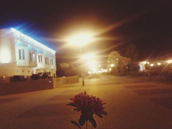 Illuminated street light at night