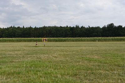 Scenic view of grassy field against sky