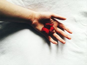 Cropped hand of woman with red flower on bed at home