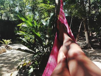 Low section of woman legs on palm tree