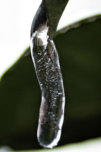 Close-up of wet spider web