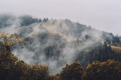 Scenic view of trees and mountains against sky