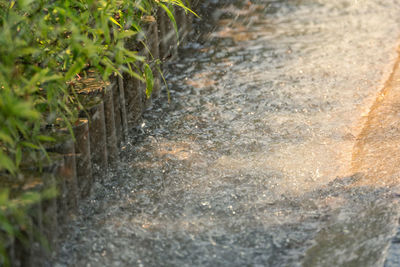 Surface level of footpath