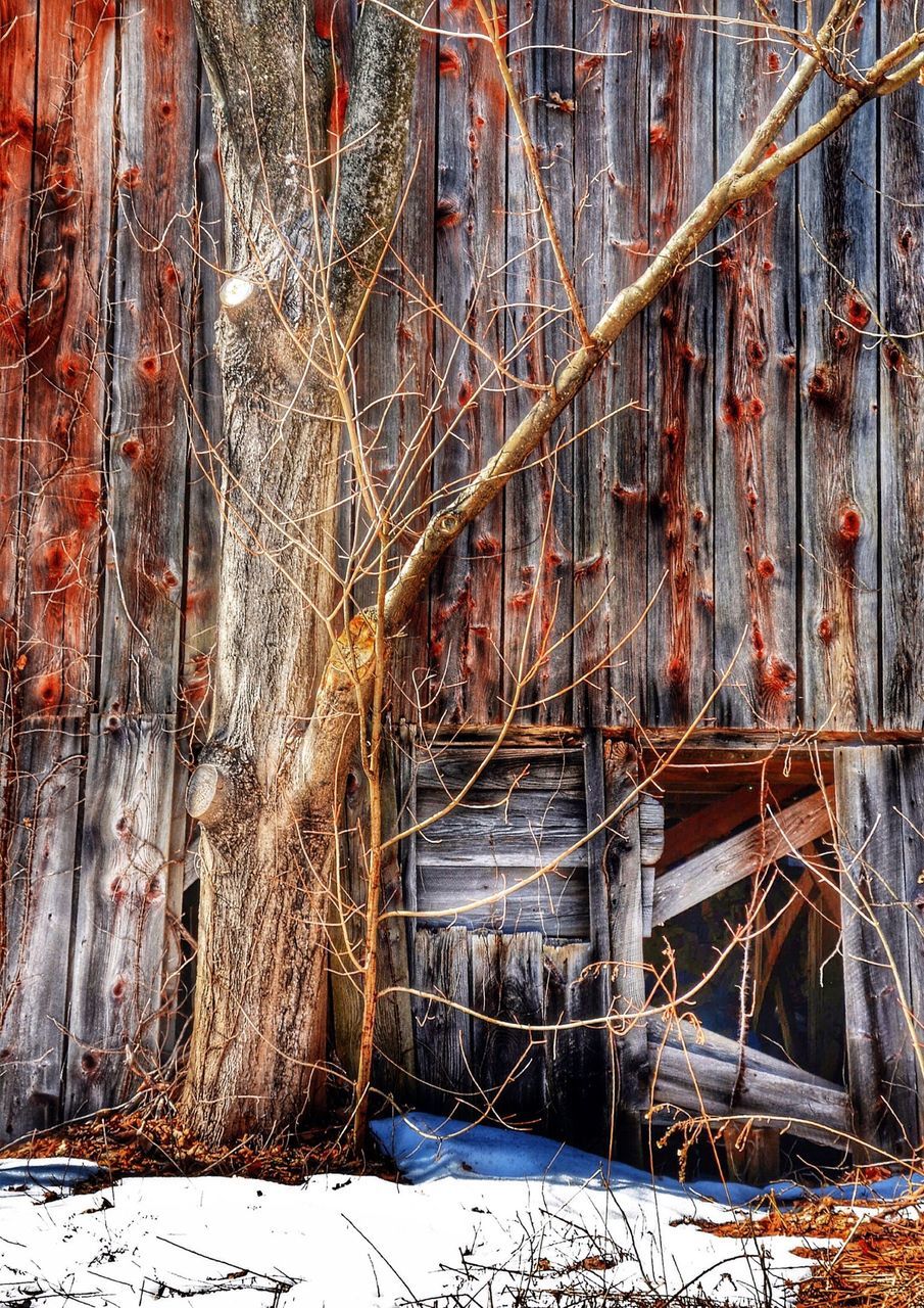 winter, built structure, architecture, snow, cold temperature, season, building exterior, damaged, abandoned, weather, deterioration, obsolete, run-down, construction site, old, covering, outdoors, no people, house, fence