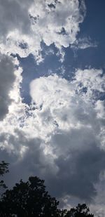 Low angle view of silhouette trees against sky