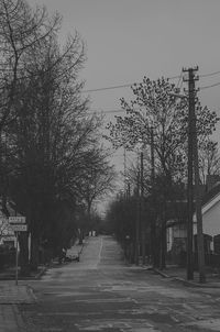 Bare trees along road