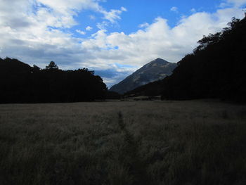 Scenic view of field against sky