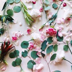 Close-up of flowers and petals on the white table 