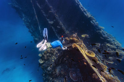 Man swimming amidst school of fish and shipwreck in sea