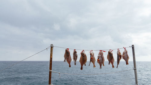 Clothes drying on rope at beach against sky