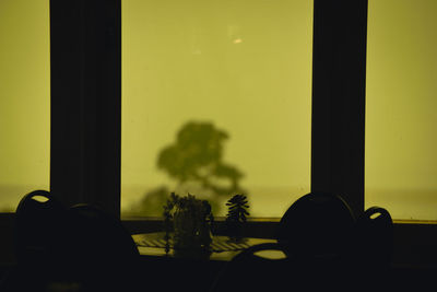 Silhouette of flower on table by window