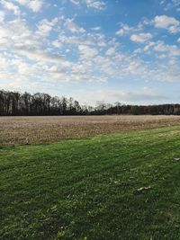 Scenic view of field against sky