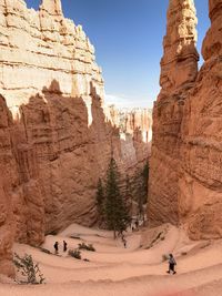 Trail in bryce canyon