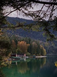 Reflection of trees in lake