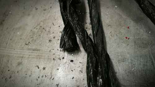 High angle view of wood in water