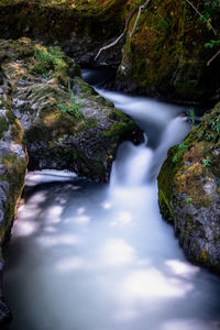 Stream flowing through rocks in forest