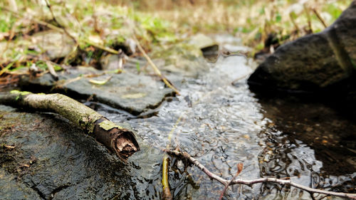 High angle view of water flowing through rocks