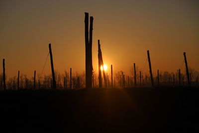 Silhouette plants on field against sky during sunset