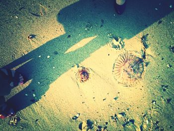 High angle view of shadow on sand