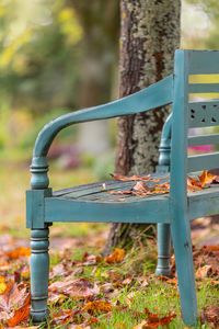 Close-up of bench in park