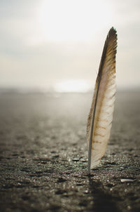 Close-up of sea against sky