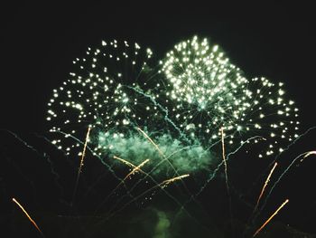 Low angle view of firework display against sky at night