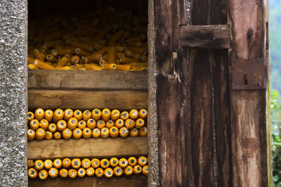 Ears cobs of corn on barn background ,  typical construction of galicia 