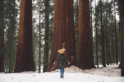 Full length of young woman standing in forest