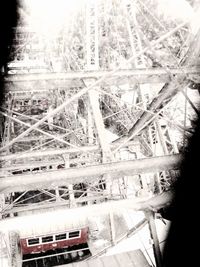 Close-up of tree trunk